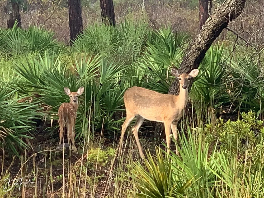 20200928-Best of 2020-2023 -89.jpg