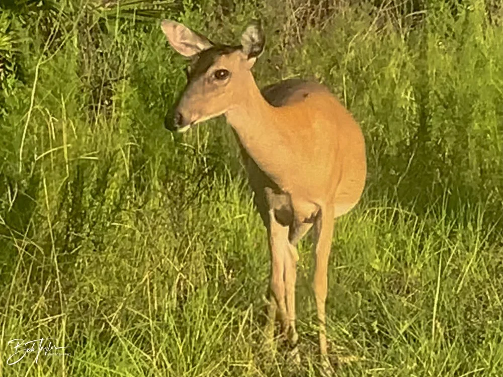 20200811-Best of 2020-2023 -1.jpg