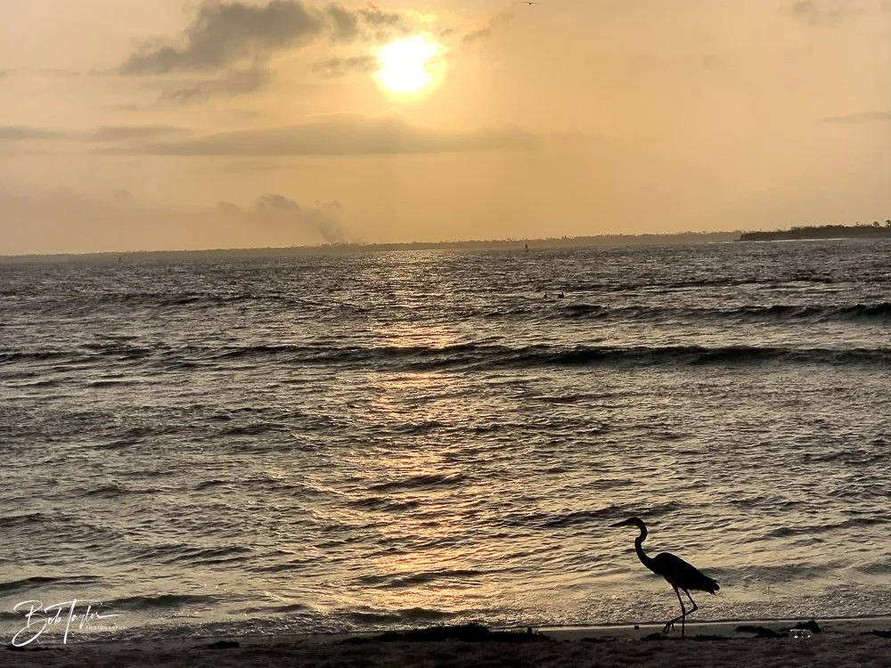 20200826-Best of 2020-2023 -19.jpg