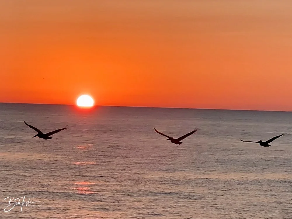 20201025-Best of 2020-2023 -135.jpg