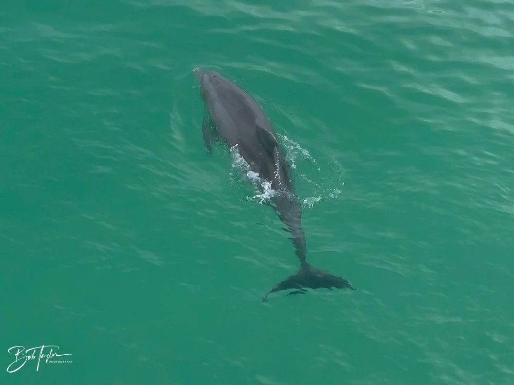 20200823-Best of 2020-2023 -8.jpg