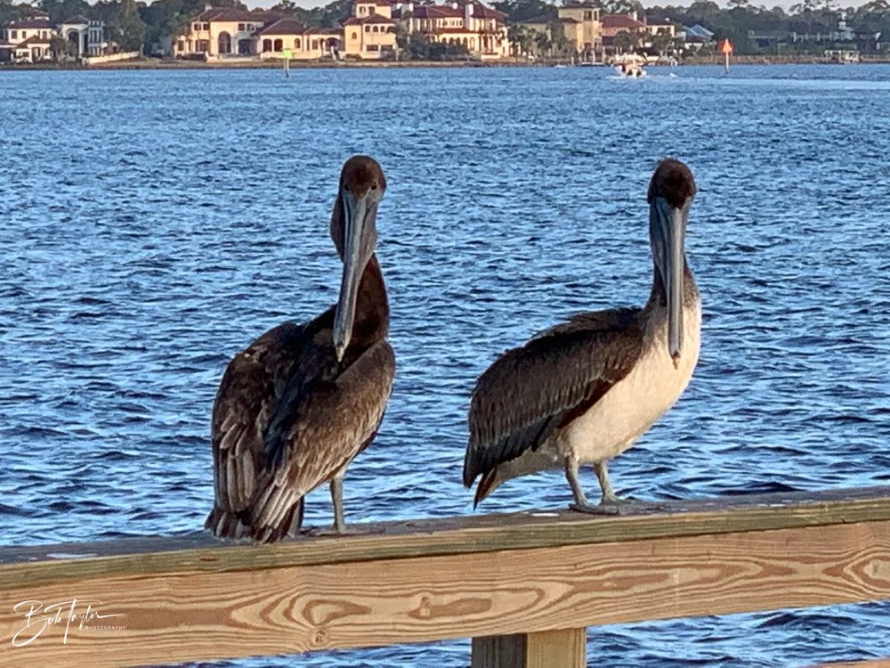 20201026-Best of 2020-2023 -136.jpg