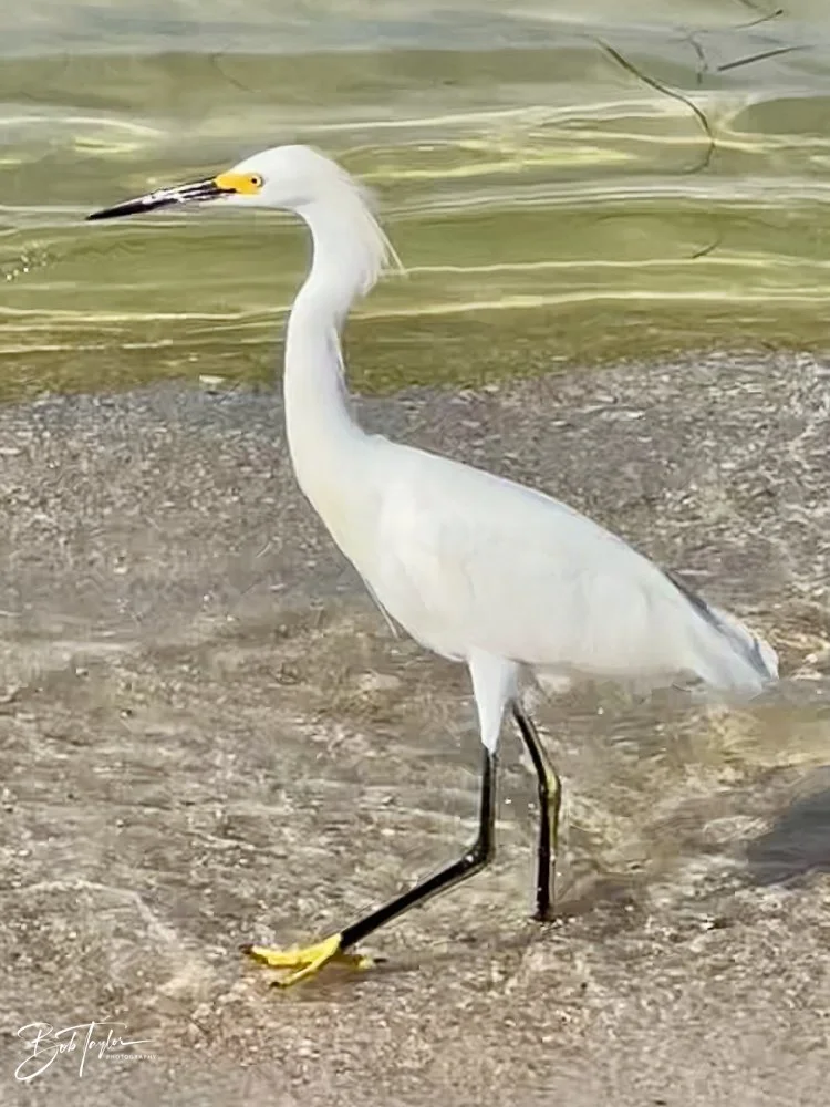 20220820-Best of 2020-2023 -189.jpg