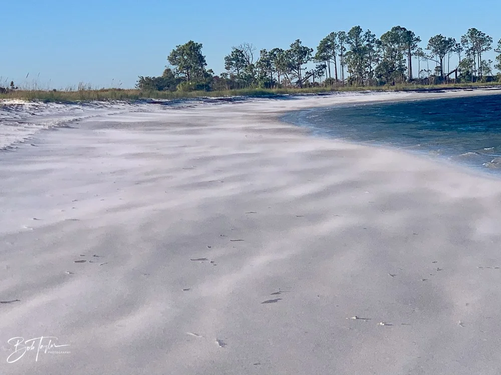 20201118-Best of 2020-2023 -167.jpg