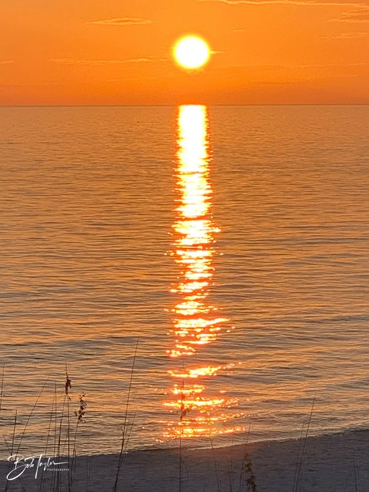 20201026-Best of 2020-2023 -138.jpg