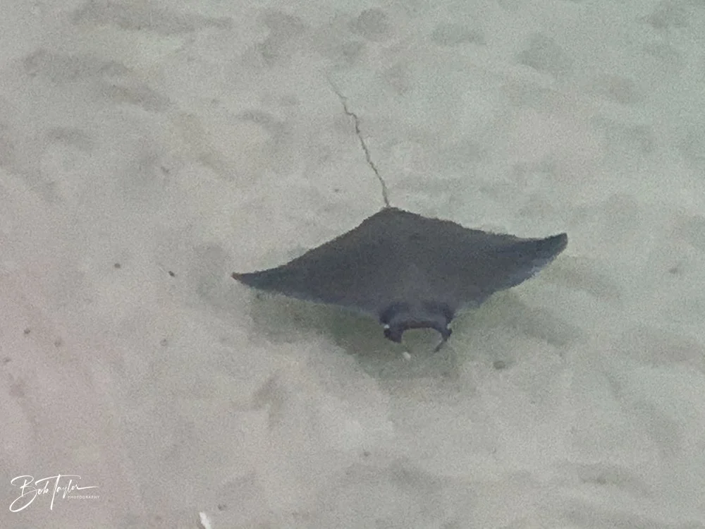 20201118-Best of 2020-2023 -173.jpg