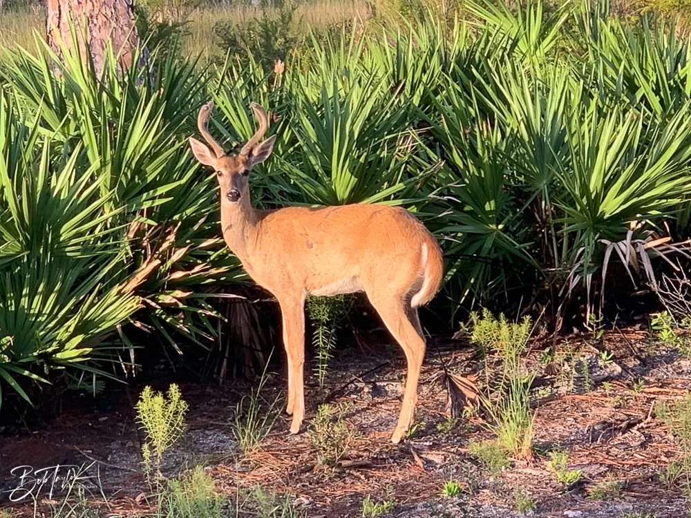 20200902-Best of 2020-2023 -44.jpg