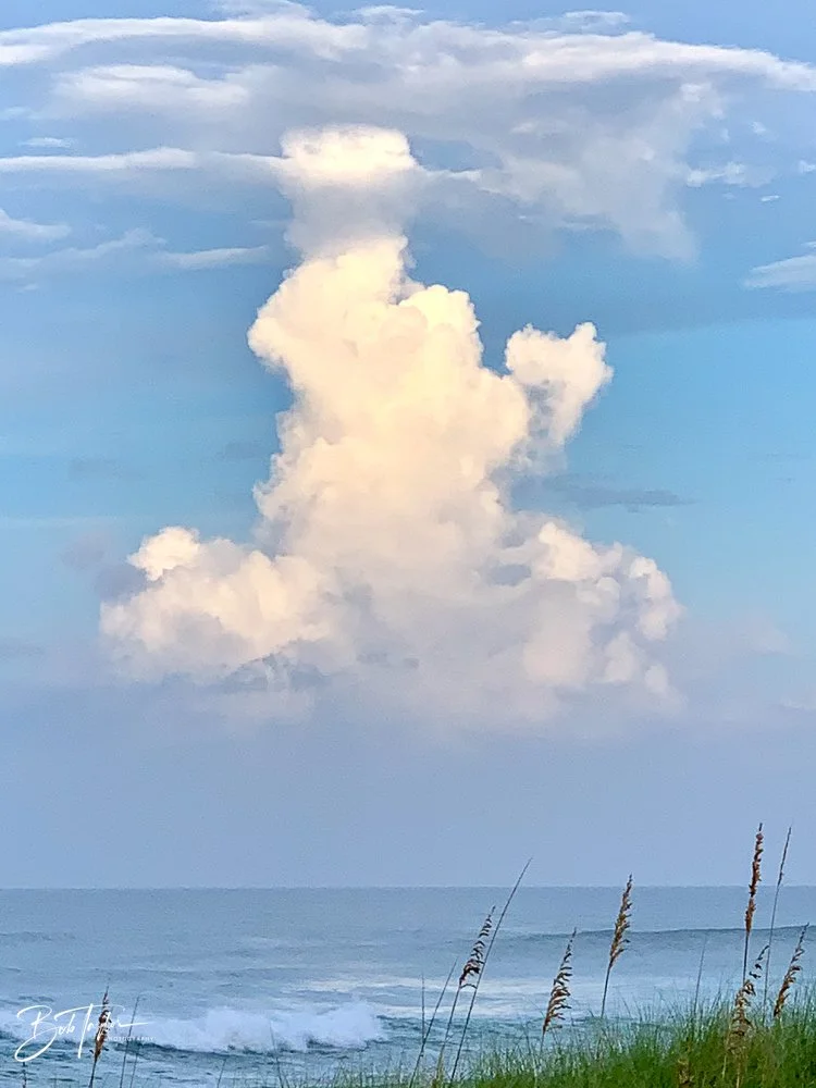 20200827-Best of 2020-2023 -36.jpg