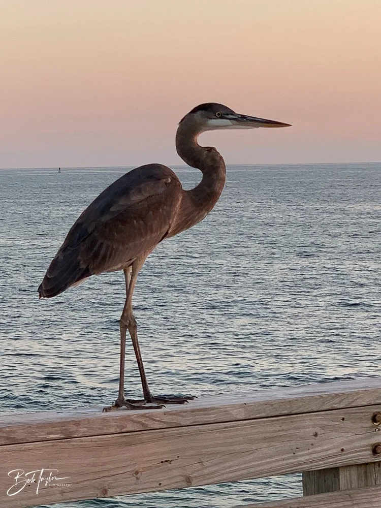 20201115-Best of 2020-2023 -166.jpg