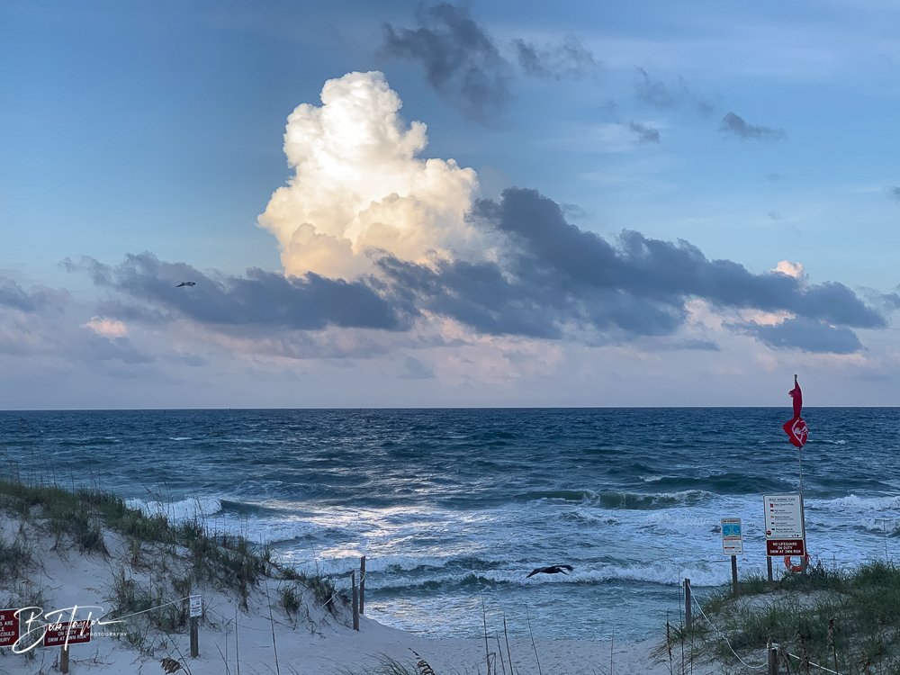 20200831-Best of 2020-2023 -39.jpg