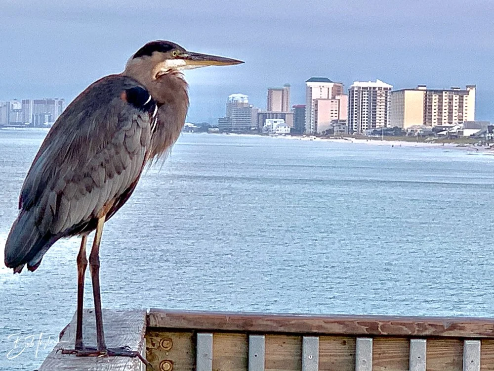 20200911-Best of 2020-2023 -51.jpg