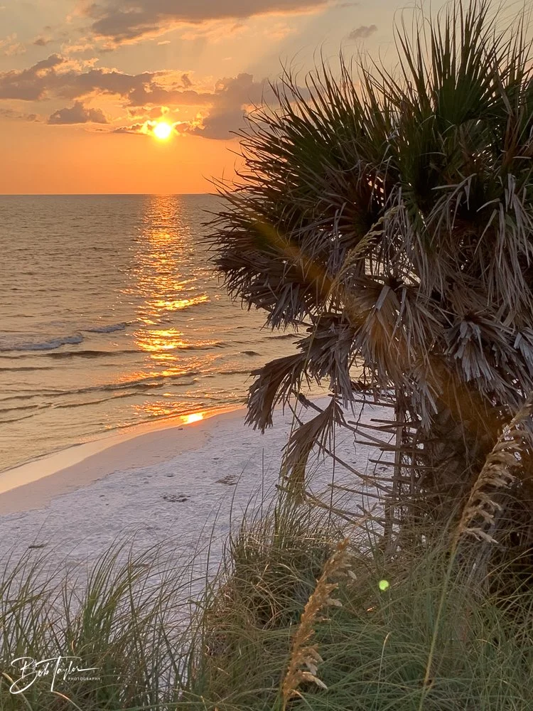 20200907-Best of 2020-2023 -46.jpg