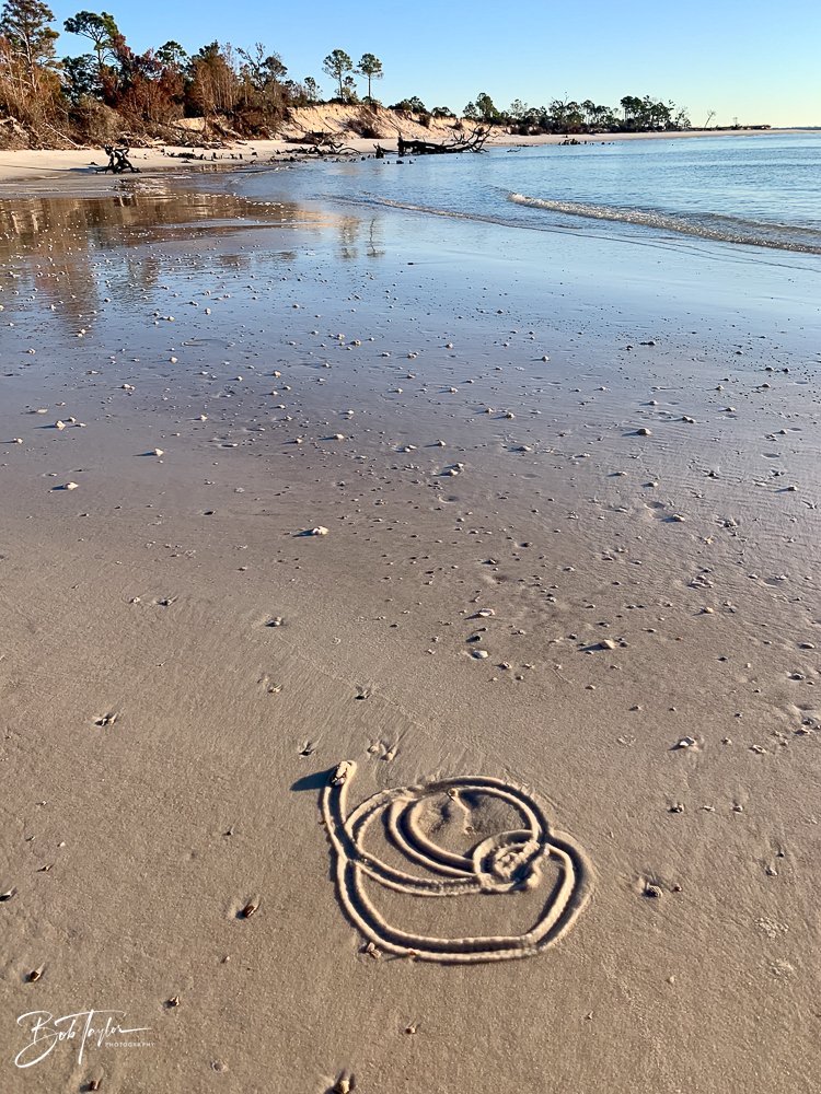 20201201-Best of 2020-2023 -188.jpg