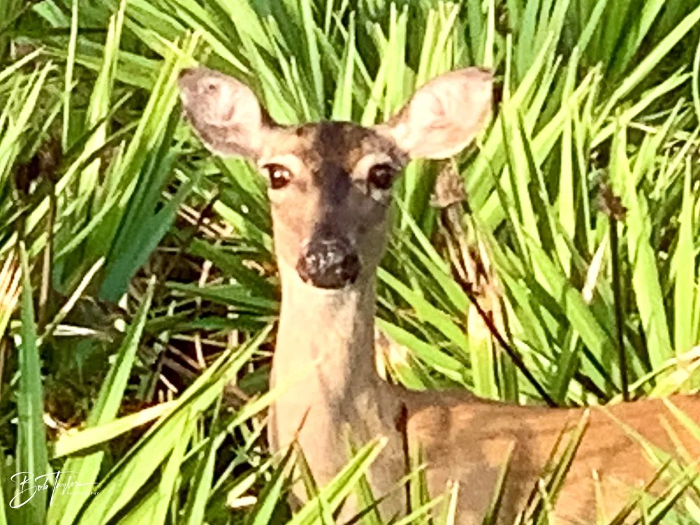 20200826-Best of 2020-2023 -23.jpg