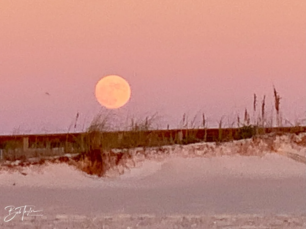 20201030-Best of 2020-2023 -147.jpg