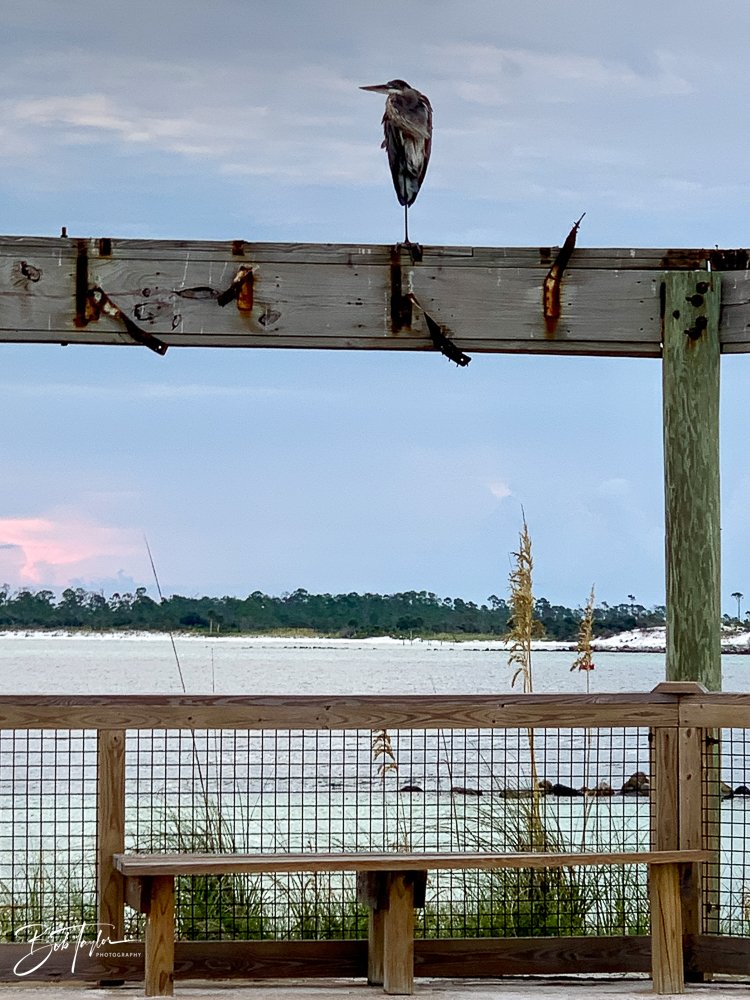 20200815-Best of 2020-2023 -5.jpg