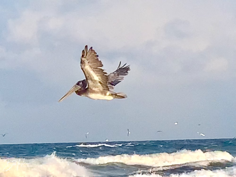 20200831-Best of 2020-2023 -42.jpg