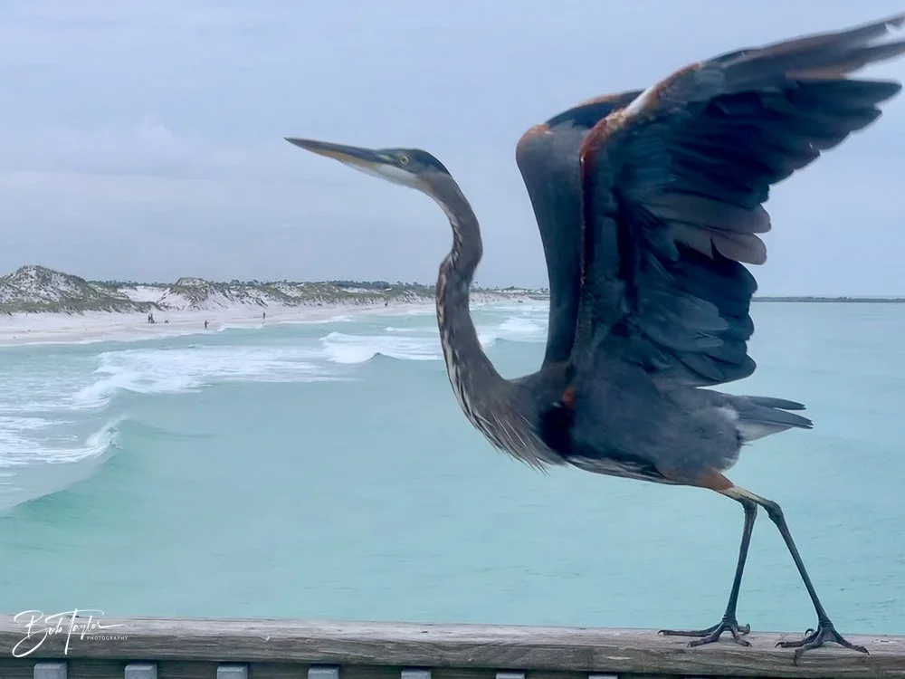 20200823-Best of 2020-2023 -10.jpg