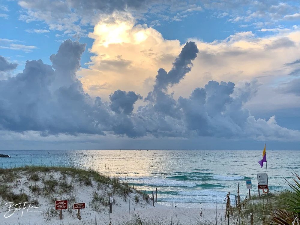 20200815-Best of 2020-2023 -7.jpg