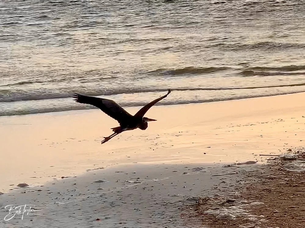 20200826-Best of 2020-2023 -22.jpg