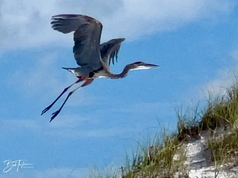 20220820-Best of 2020-2023 -190.jpg