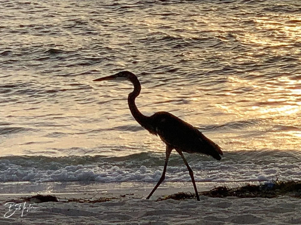 20200826-Best of 2020-2023 -20.jpg