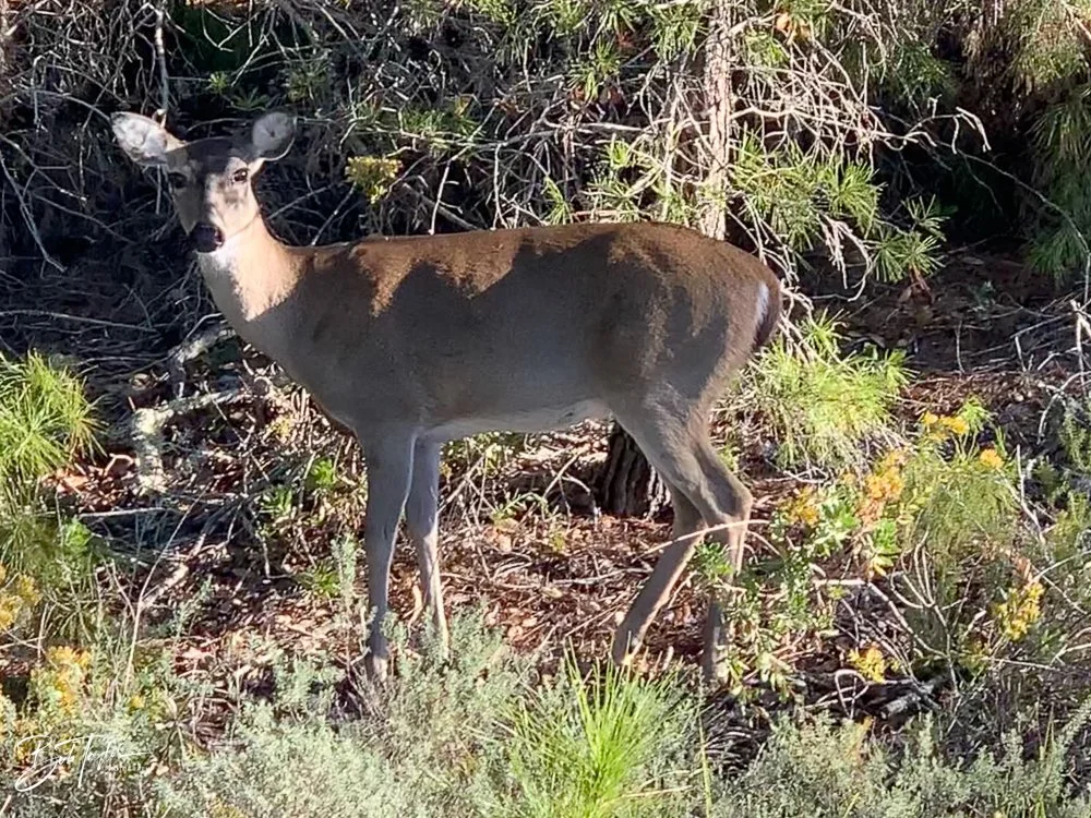 20201118-Best of 2020-2023 -168.jpg