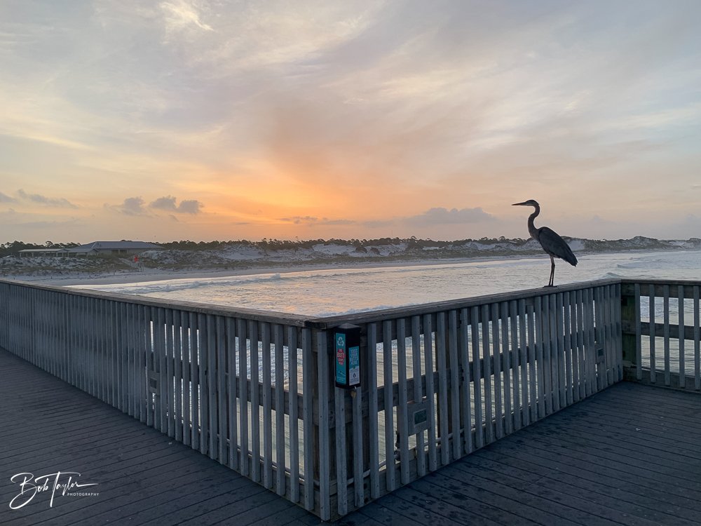 20200826-Best of 2020-2023 -15.jpg