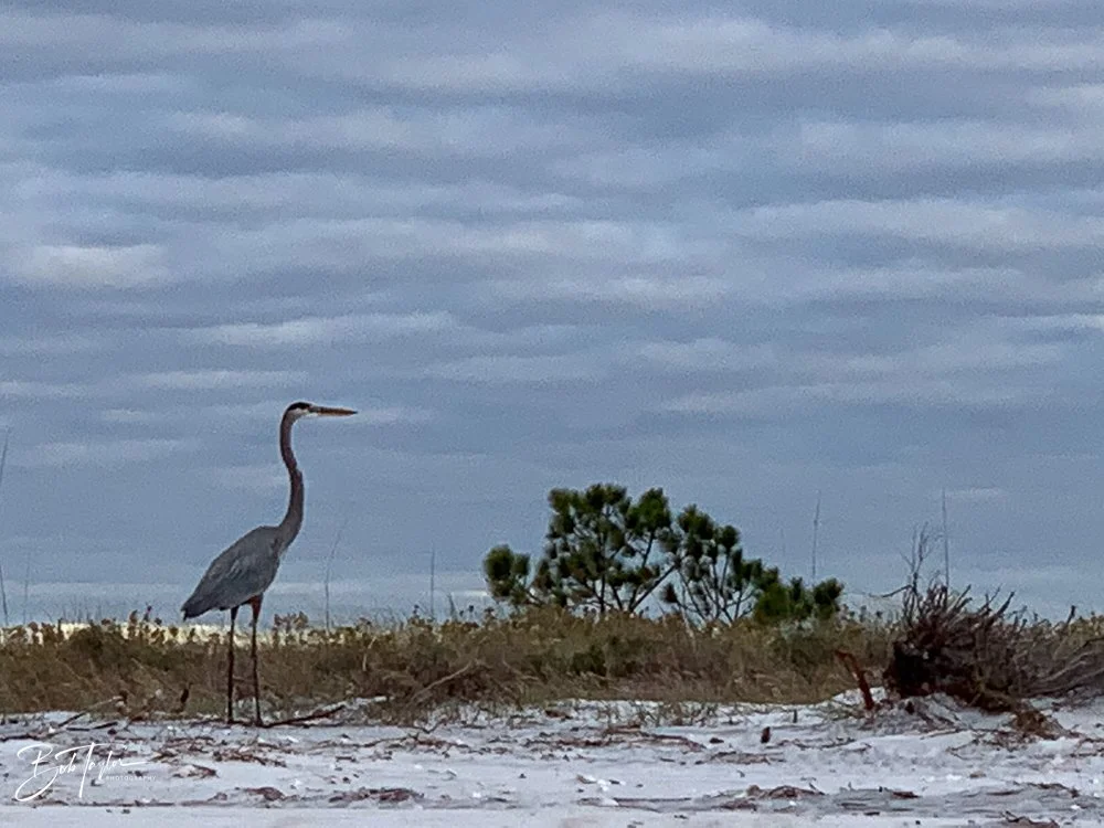 20201121-Best of 2020-2023 -178.jpg