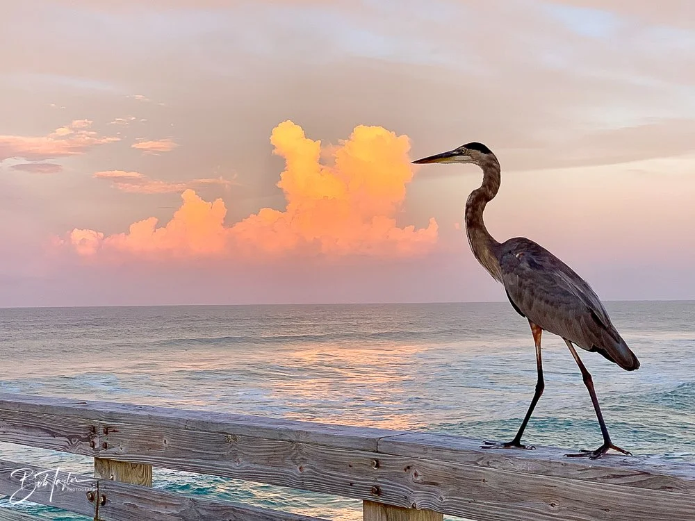 20200827-Best of 2020-2023 -31.jpg