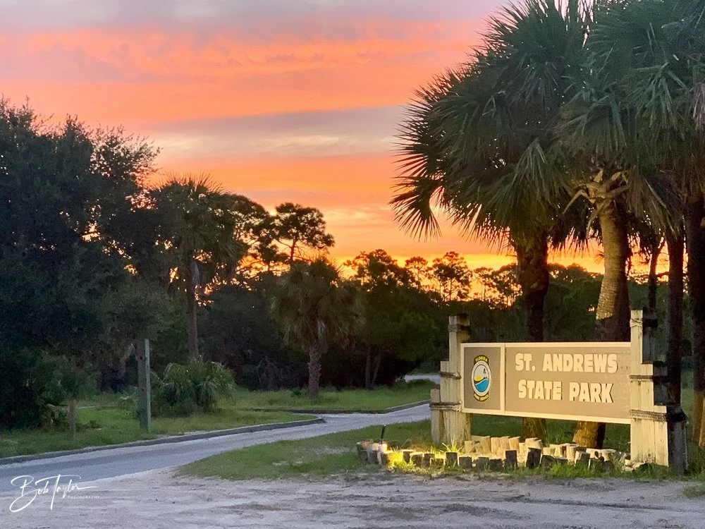 20200827-Best of 2020-2023 -24.jpg