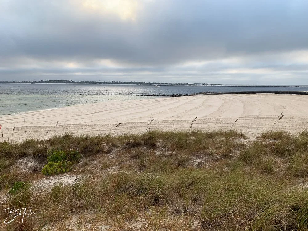 20201021-Best of 2020-2023 -118.jpg