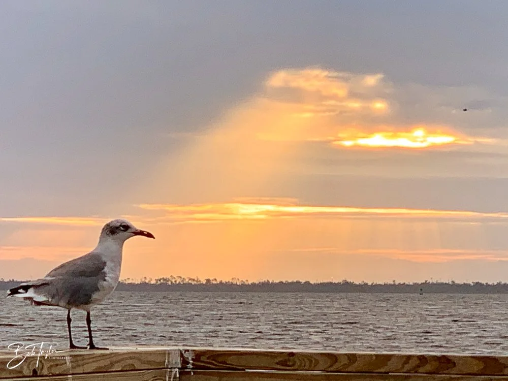 20200924-Best of 2020-2023 -77.jpg