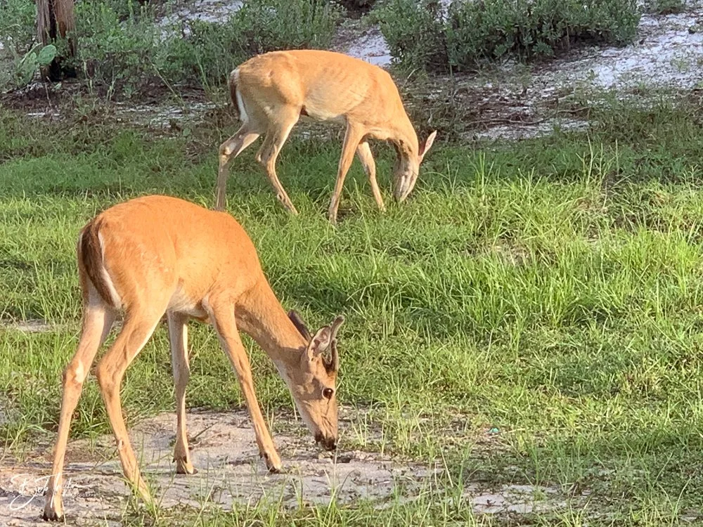 20200827-Best of 2020-2023 -37.jpg