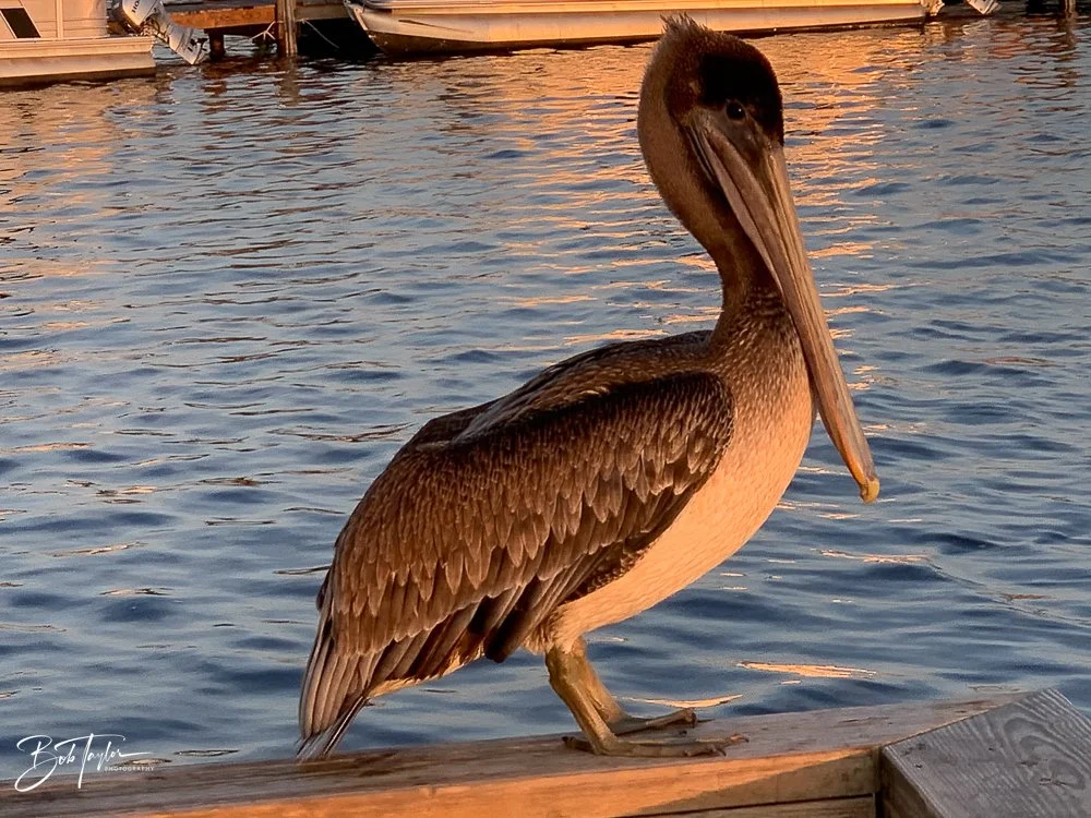 20200926-Best of 2020-2023 -88.jpg