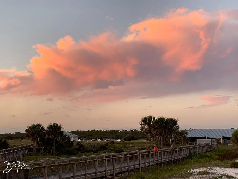 20201021-Best of 2020-2023 -128.jpg