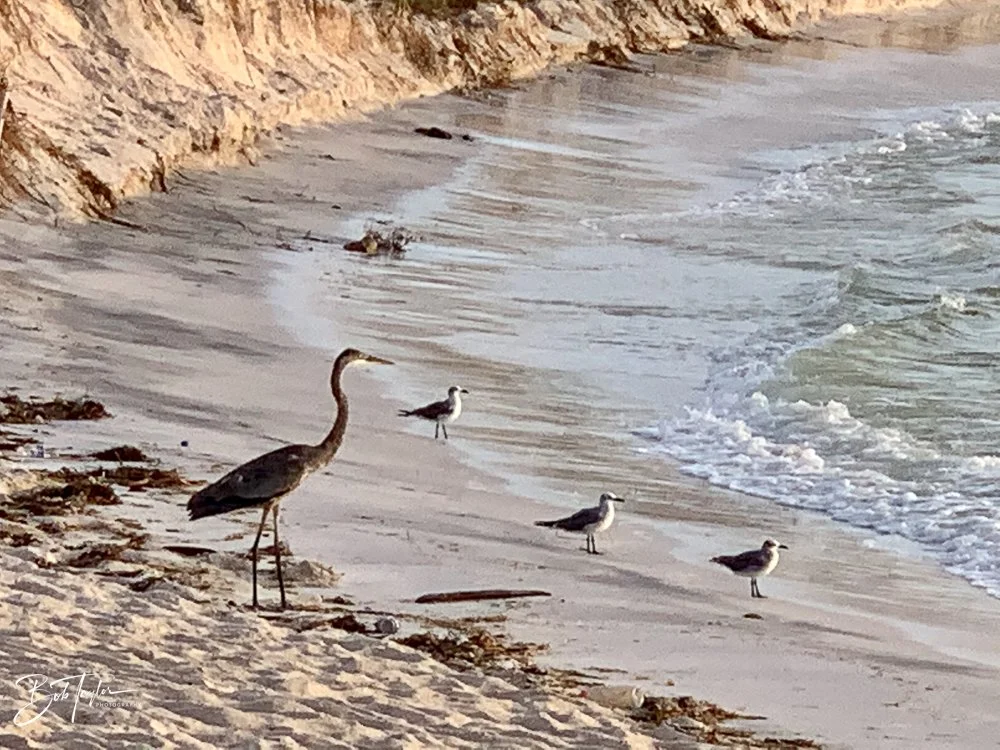 20200826-Best of 2020-2023 -21.jpg