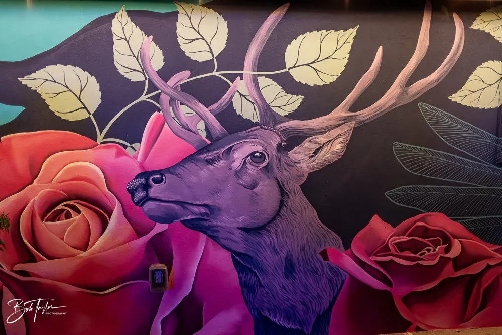 20250416-Grocery Kitchen Story -8.jpg