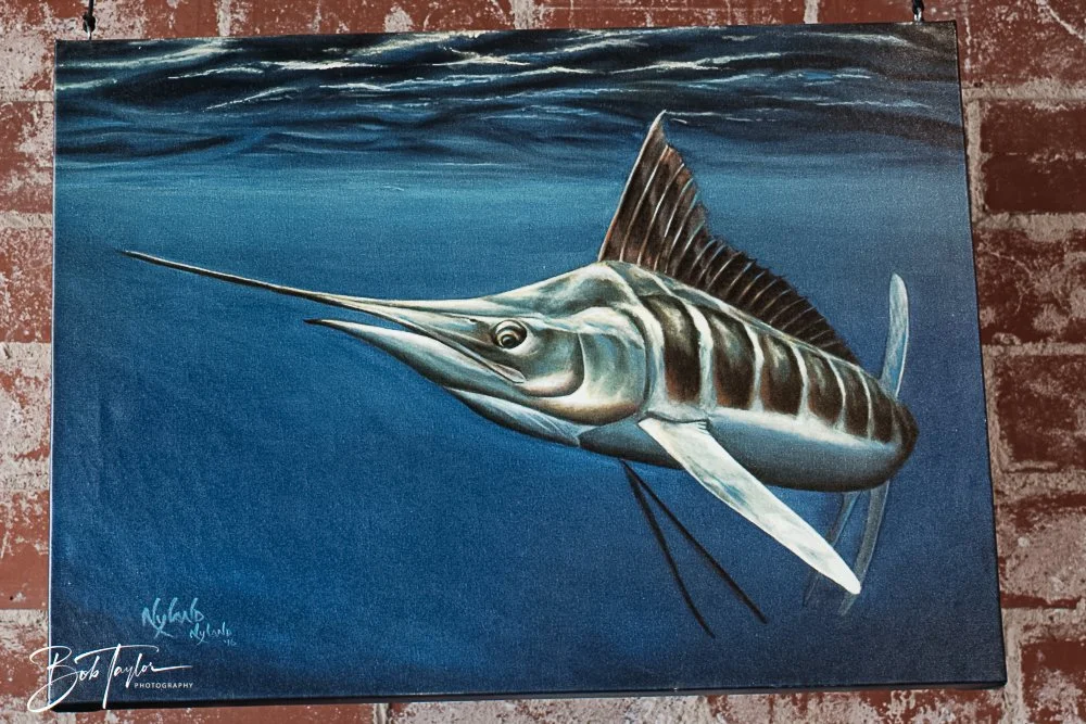 20250509-Sunjammers 3 -13.jpg