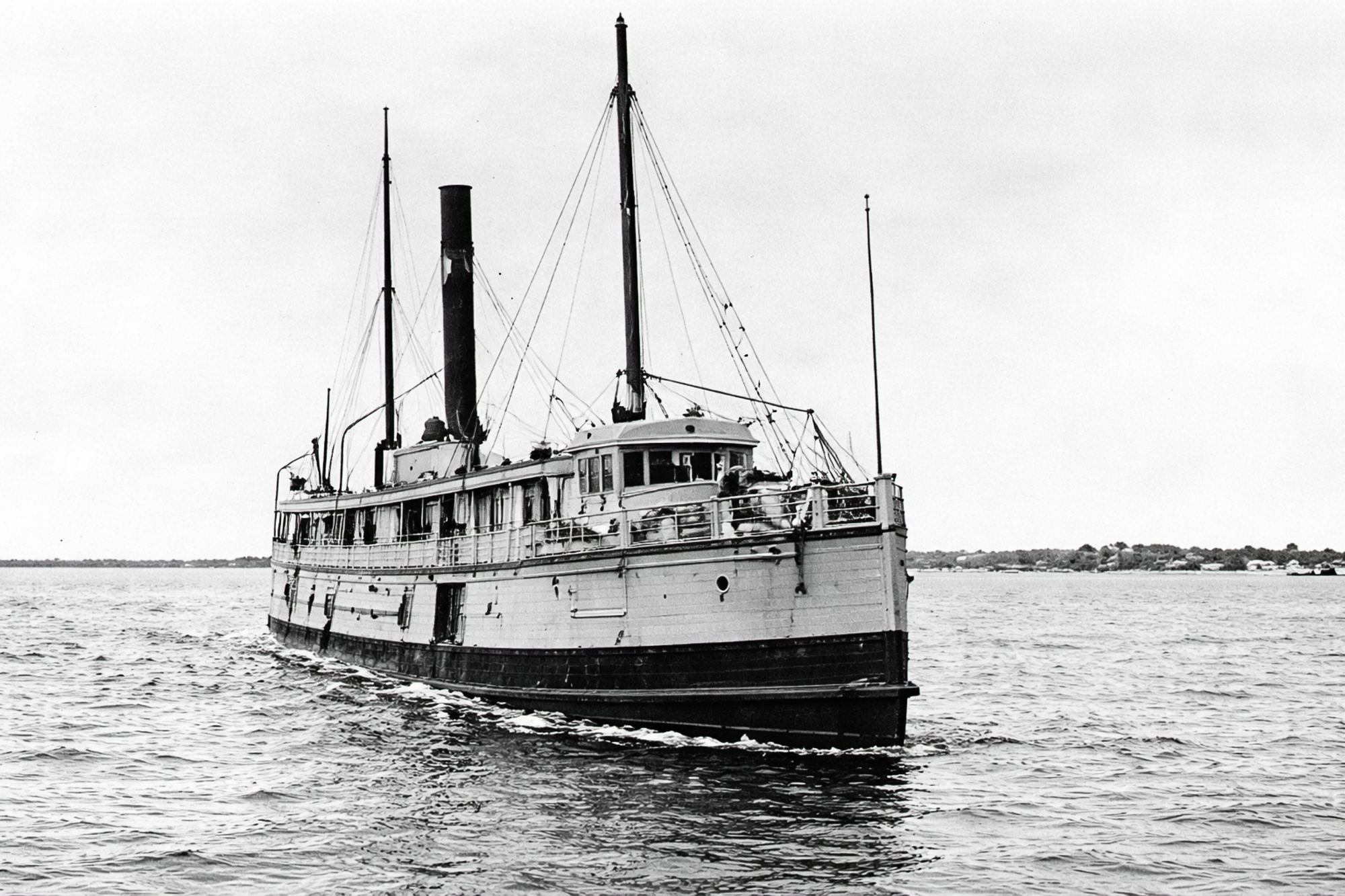 20251230-Tarpon Large -3.png