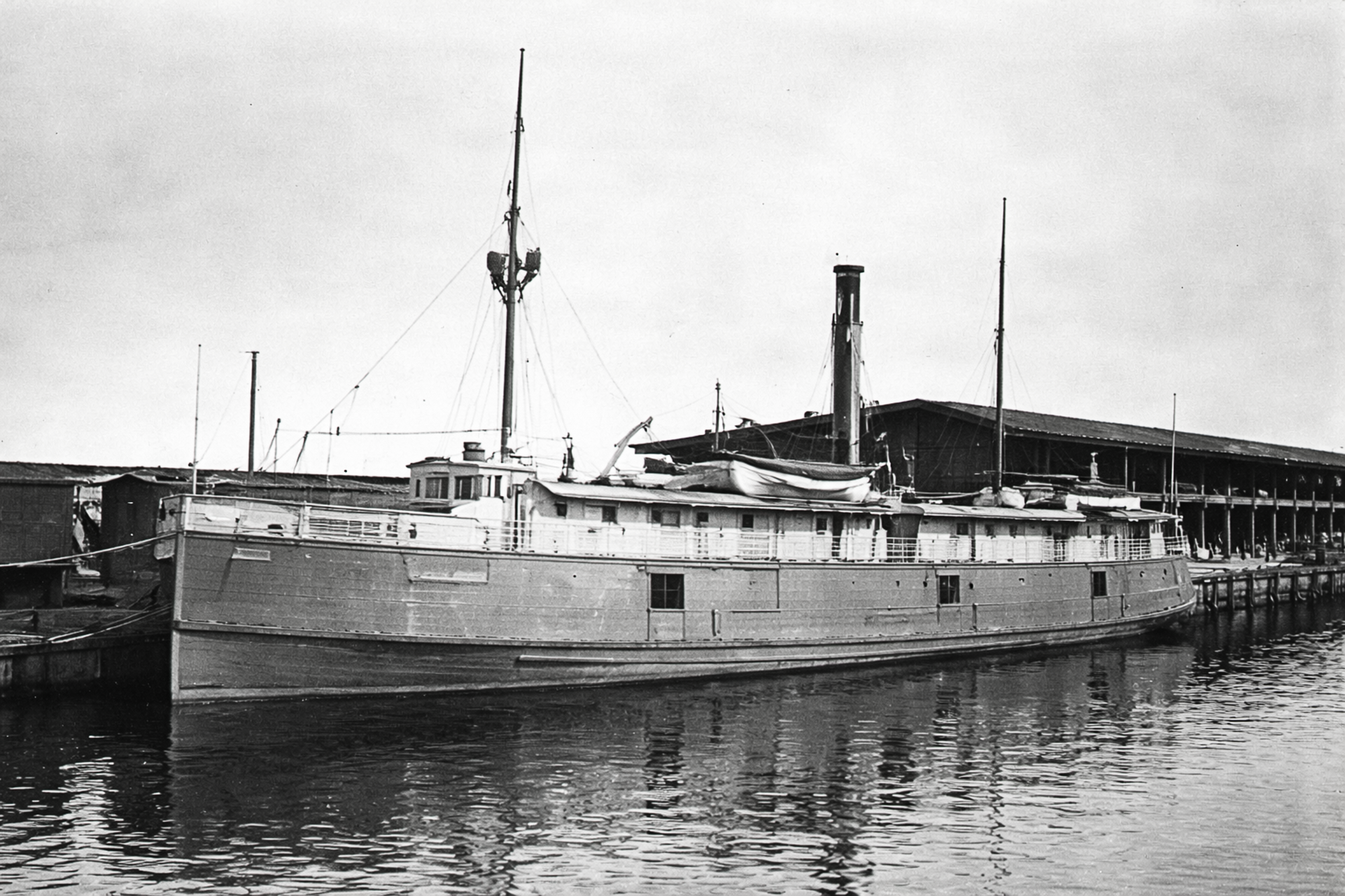 20251230-Tarpon Large -2.png