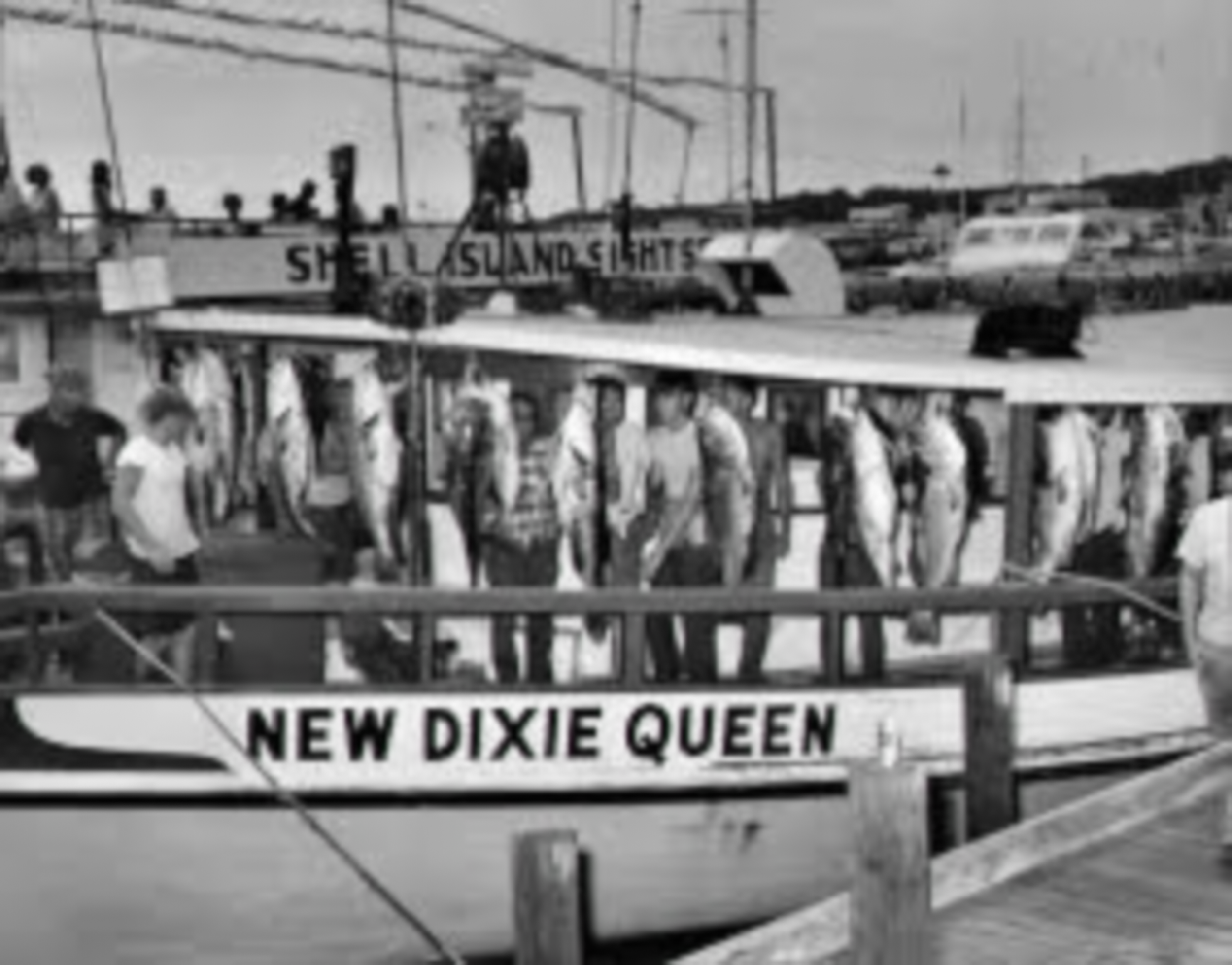 20251125-Images -3.png