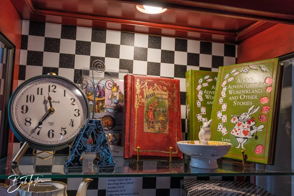 20260211-Gypsy Willow -28.jpg