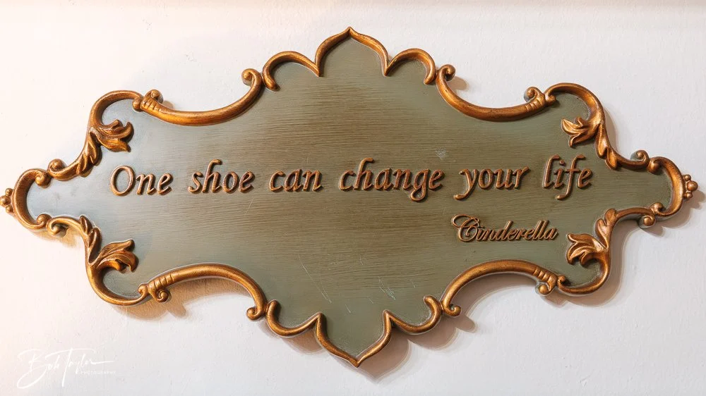 20260211-Gypsy Willow -22.jpg