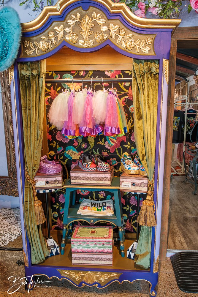 20260211-Gypsy Willow -33.jpg