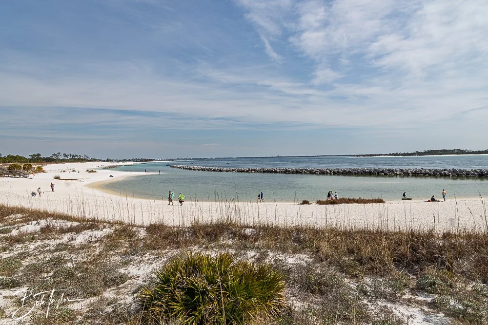 20260214-SASP Story -26.jpg