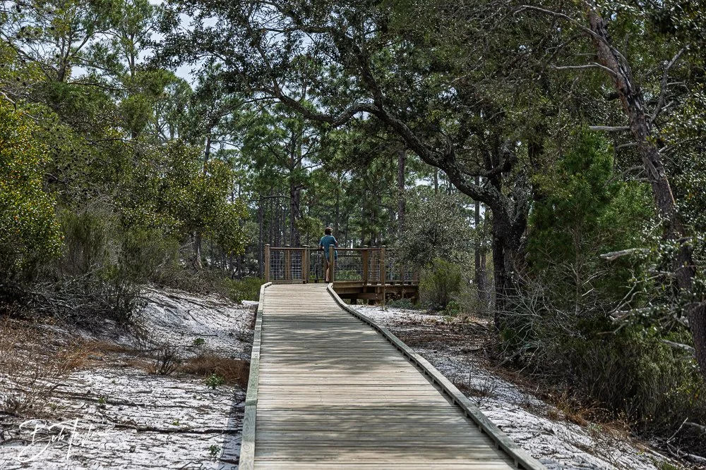 20260214-SASP Story -52.jpg