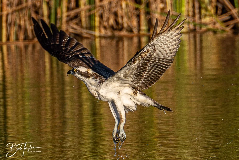 20251103-SASP -2238.jpg