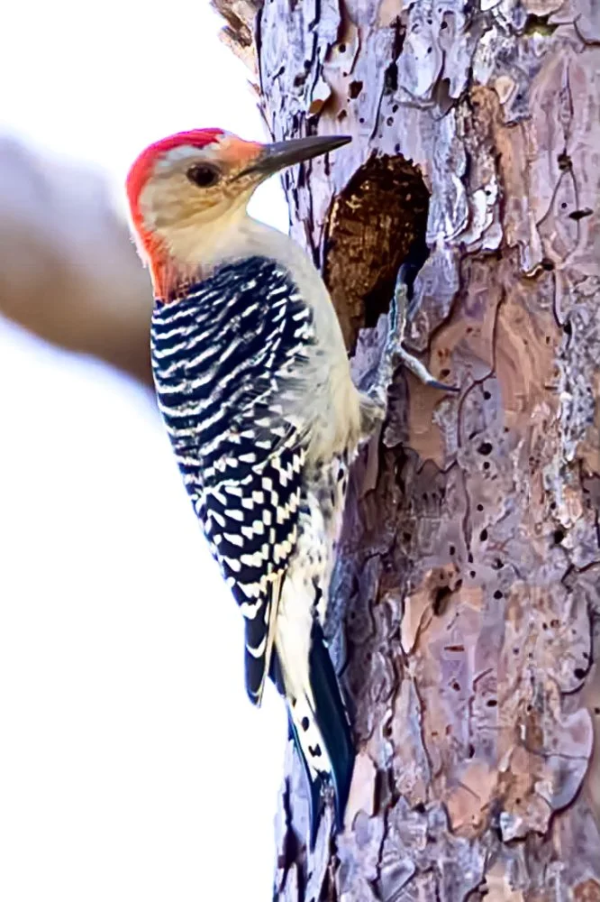 20231020-SASP -1031.jpg