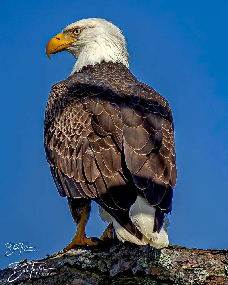 20231205-SASP -1194.jpg